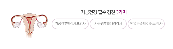 자궁건강 필수 검진 3가지