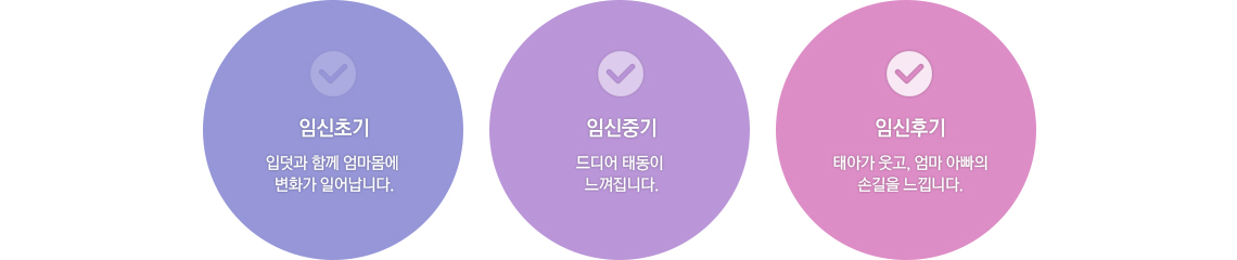 임신초기_입덧과 함께 엄마몸에 변화가 일어납니다 / 임신중기_드디어 태동이 느껴집니다 / 임신후기_태아가 웃고, 엄마 아빠의 손길을 느낍니다